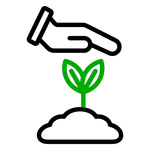 plantacion